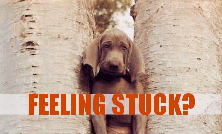 Feeling Stuck?